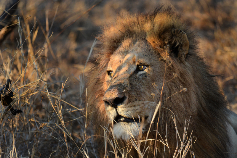 trilogy-aof-kevinmaclaughlin