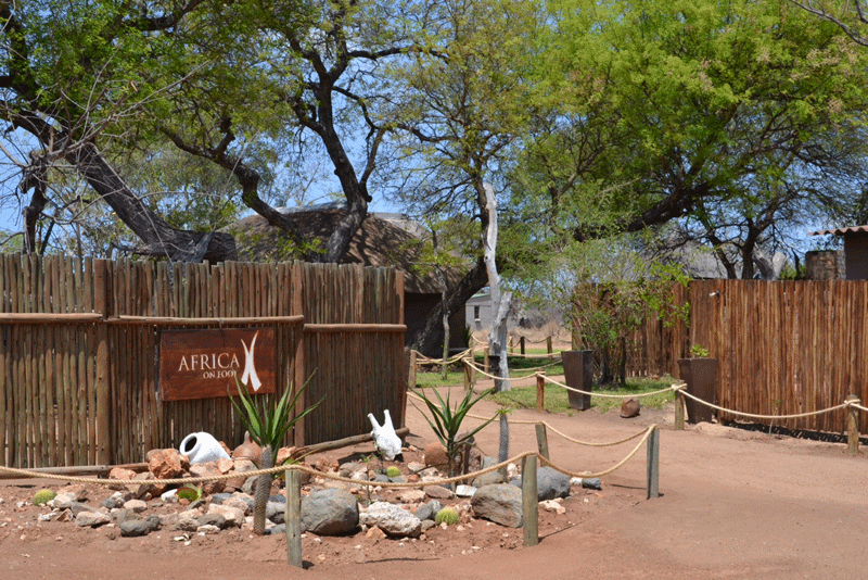 Where the magic happens! Africa on Foot.