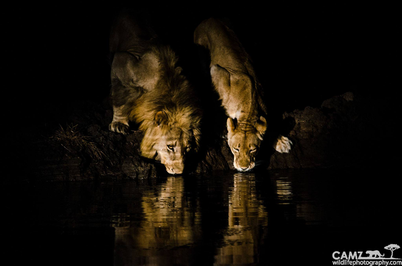 Photo by Umkumbe guide, Cameron Engelbrecht.