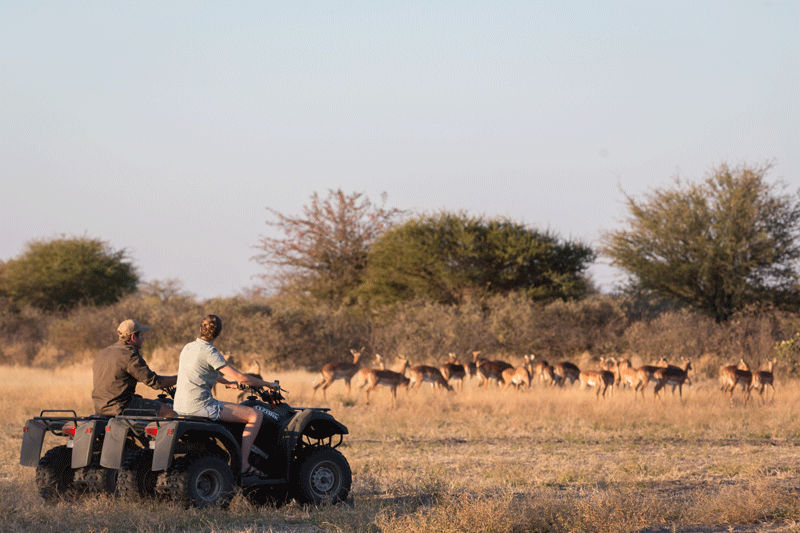 Quad biking in the Kalahari.