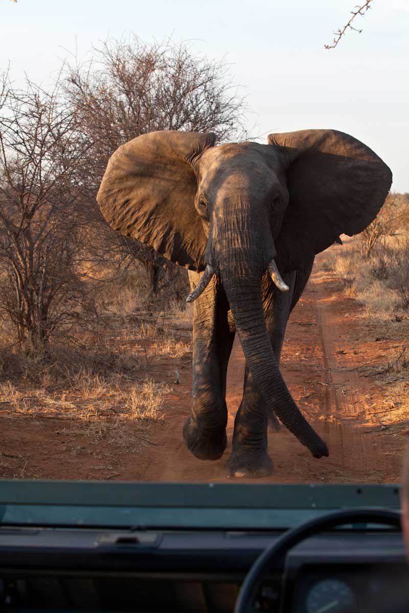 Image by Jochen Van de Perre