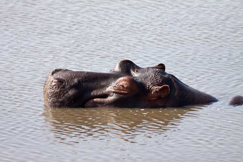 Image by Jochen Van de Perre