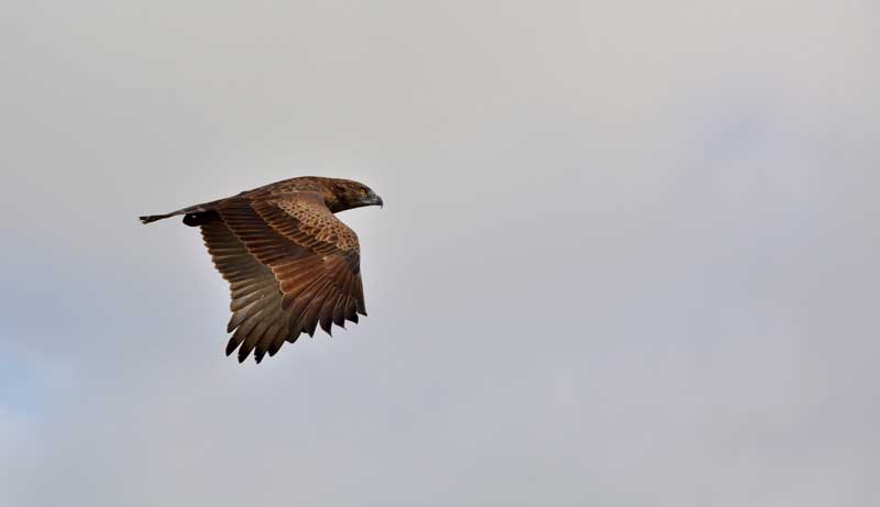 Image by Luan Oosthuizen