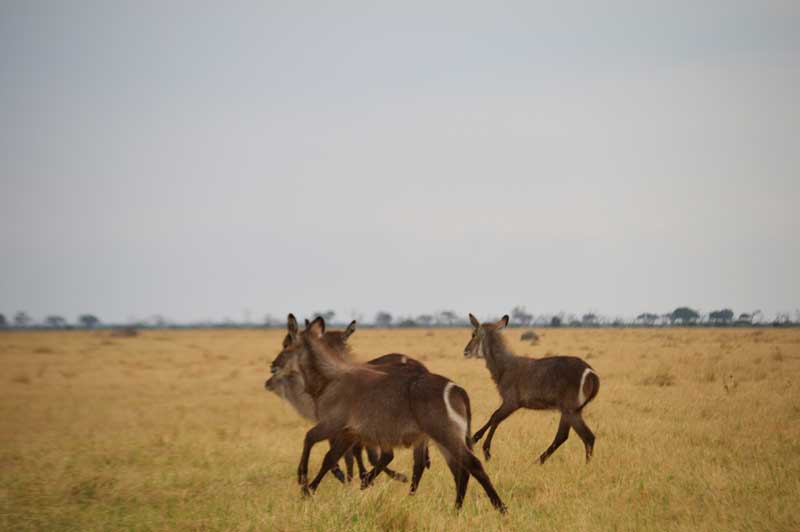 Image by Chloe Cooper