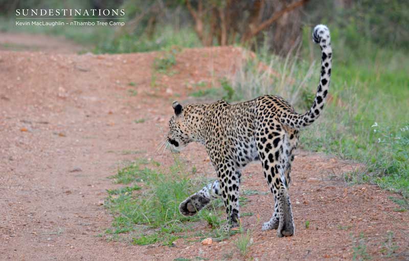 A surprise spot this morning!