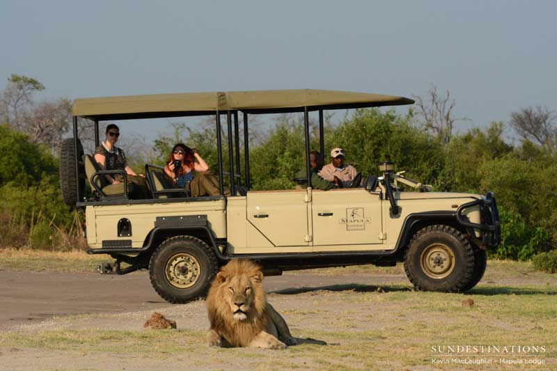 lion-delta-1-kevinmac