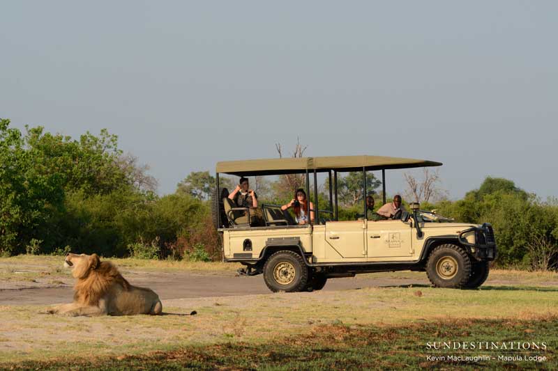 lion-delta-3-kevinmac