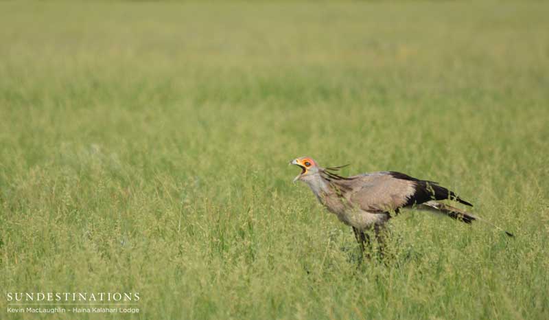 secretary-ckgr-kevin secretary-ckgr-kevin