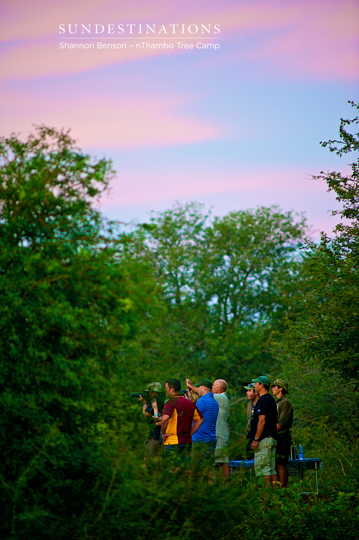 Guests Tracking Elephants Guests Tracking Elephants