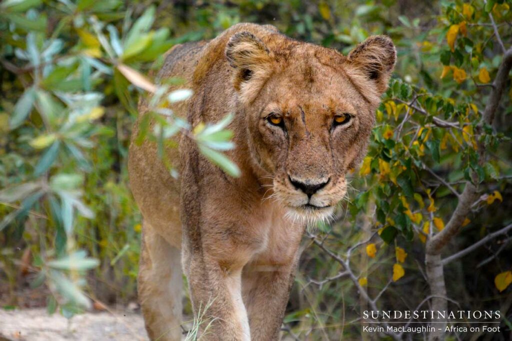 Reclaiming old territory? Reclaiming old territory?