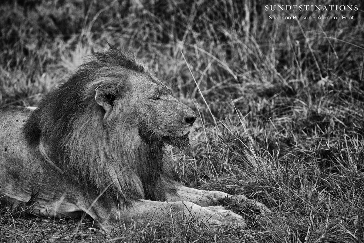 trilogy-kill-shannonb trilogy-kill-shannonb