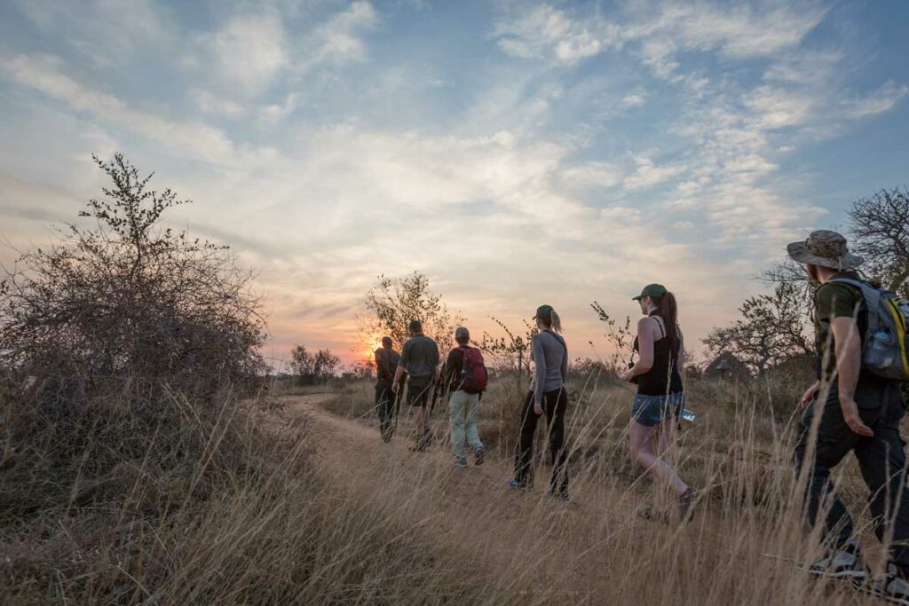 Setting foot into the bush as sunrise Setting foot into the bush as sunrise