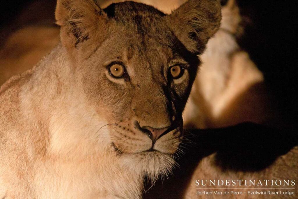 Up close and in the dark Up close and in the dark