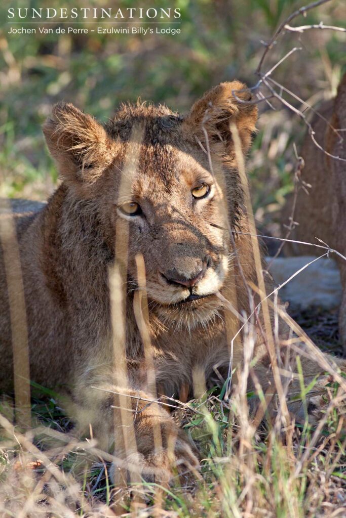 Youngster takes a break Youngster takes a break