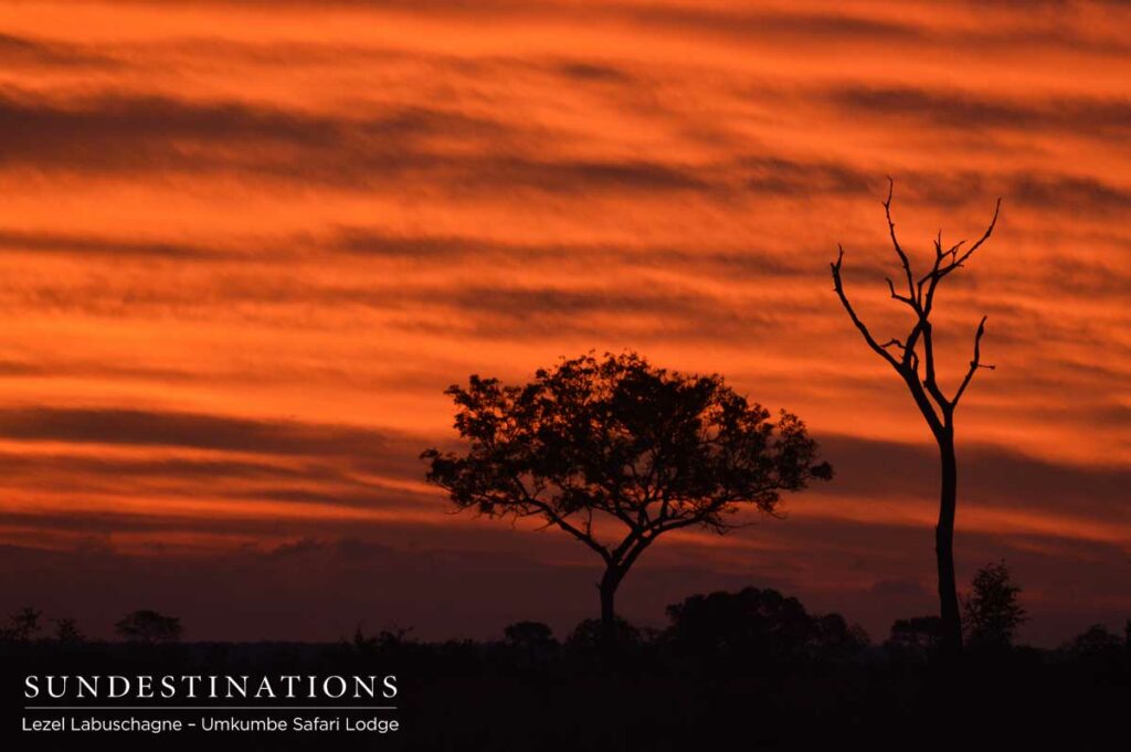 Blood orange sky in the Sabi Sand Blood orange sky in the Sabi Sand