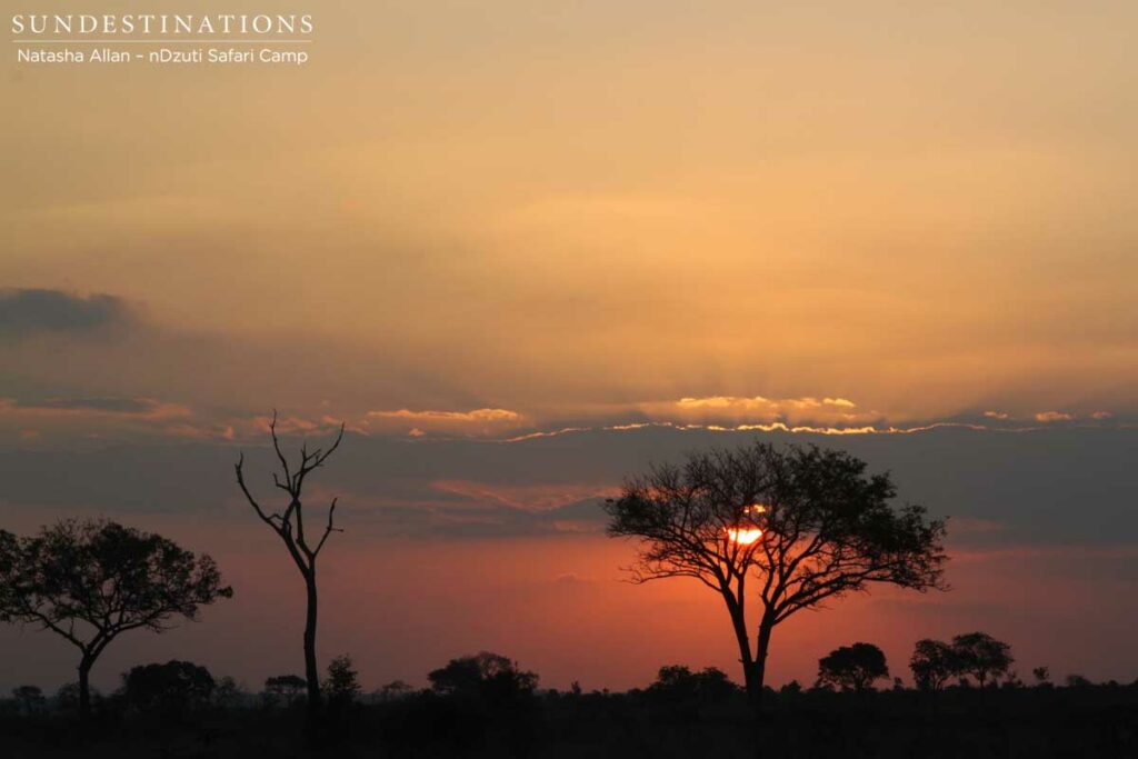 A burning sunset on the nDzuti horizon A burning sunset on the nDzuti horizon