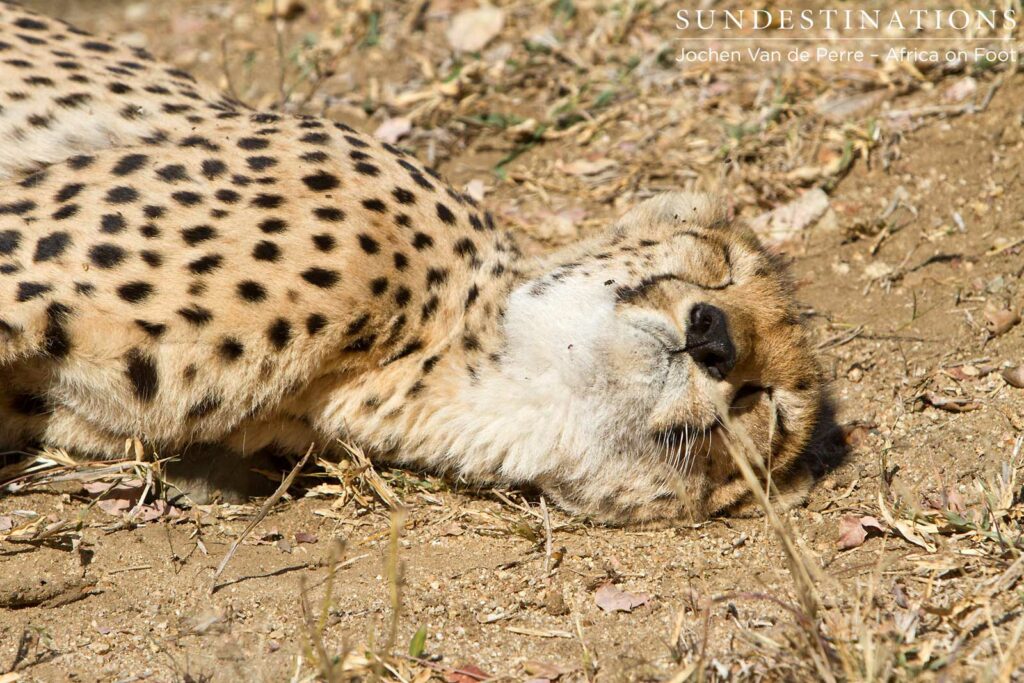 Catching some shut-eye Catching some shut-eye