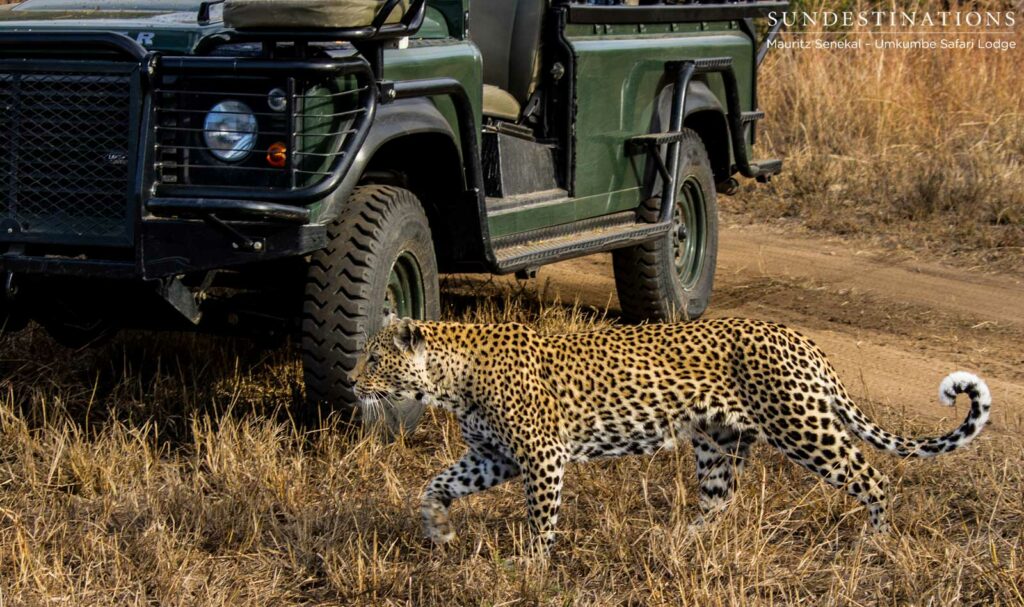 White Dam in front of Umkumbe's vehicle White Dam in front of Umkumbe's vehicle