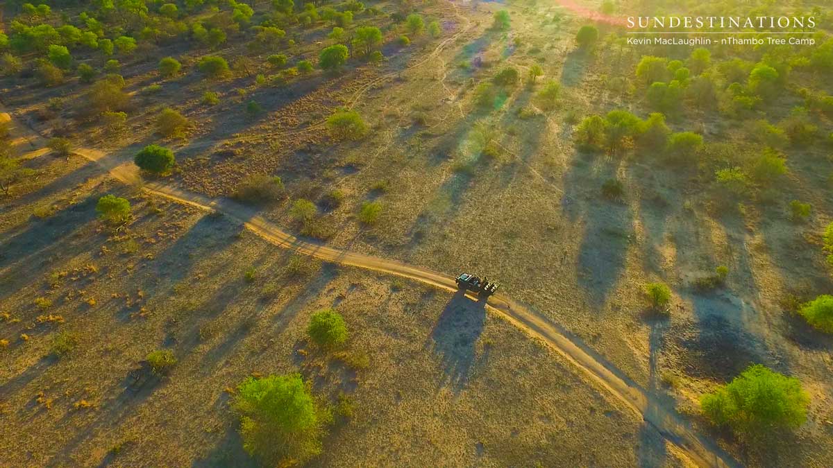 nThambo Game Drive nThambo Game Drive