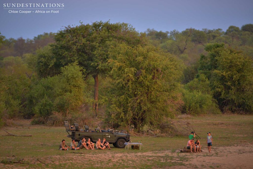 Guests relaxing at the surrounded by the wild Guests relaxing at the surrounded by the wild