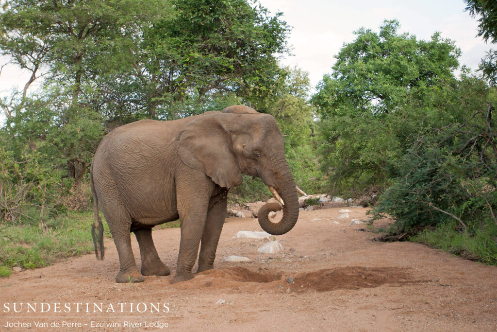 Drinking the water dug up from underground Drinking the water dug up from underground