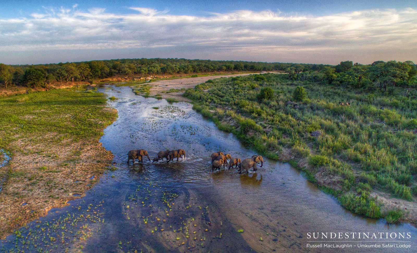 Elephant aerial over Umkumbe Elephant aerial over Umkumbe