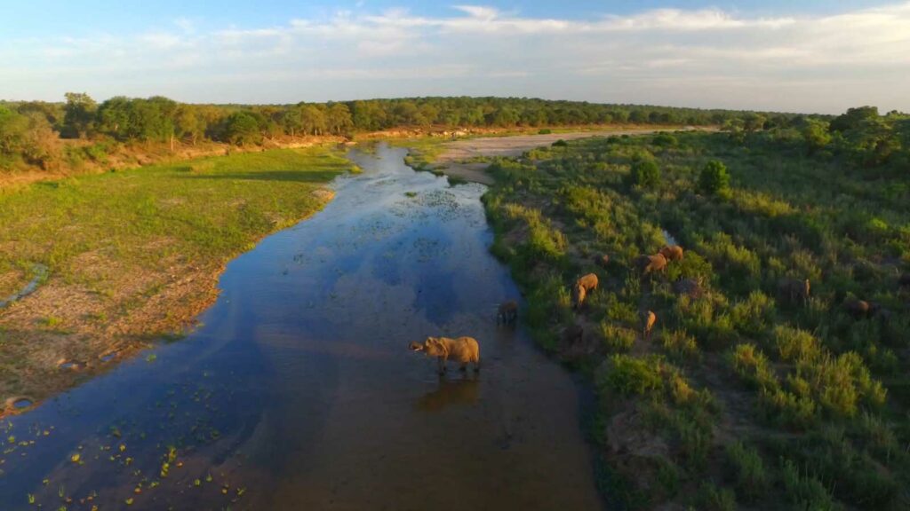 Aerial images of elephants crossing the Sand River Aerial images of elephants crossing the Sand River