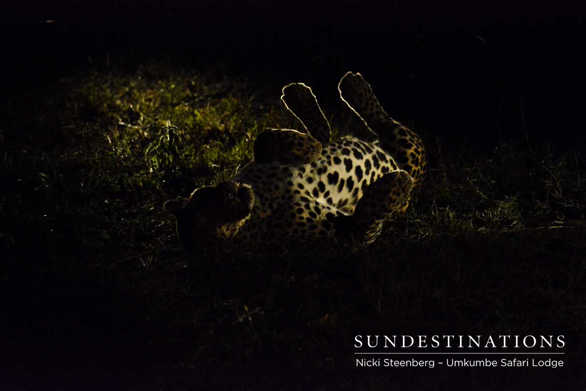 Bicycle Crossing Male Bicycle Crossing Male