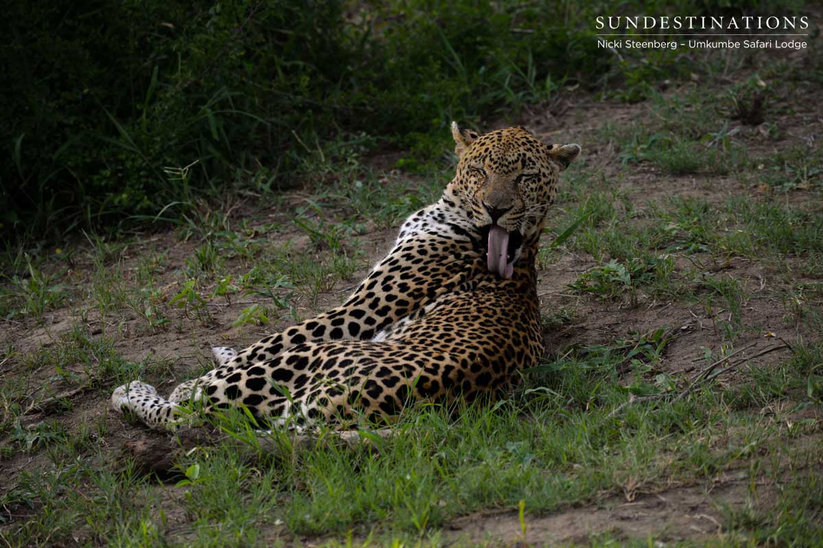 Bicycle Crossing Male Grooming Bicycle Crossing Male Grooming