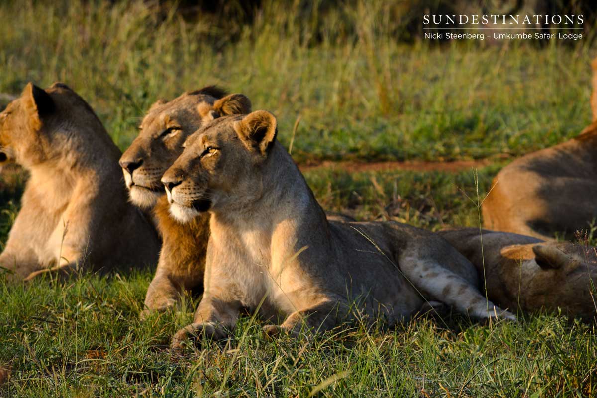 Mangeni Pride Mangeni Pride