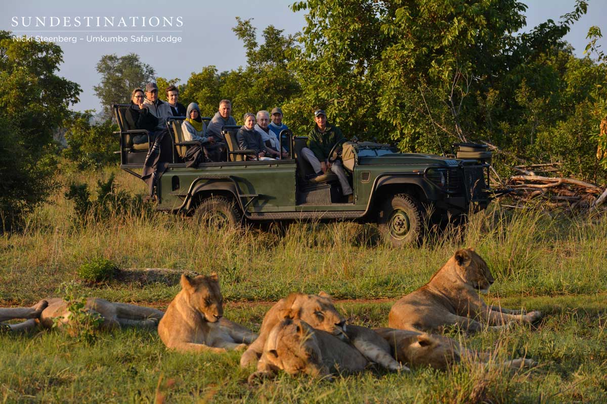 Mangeni Pride Game Viewer Mangeni Pride Game Viewer