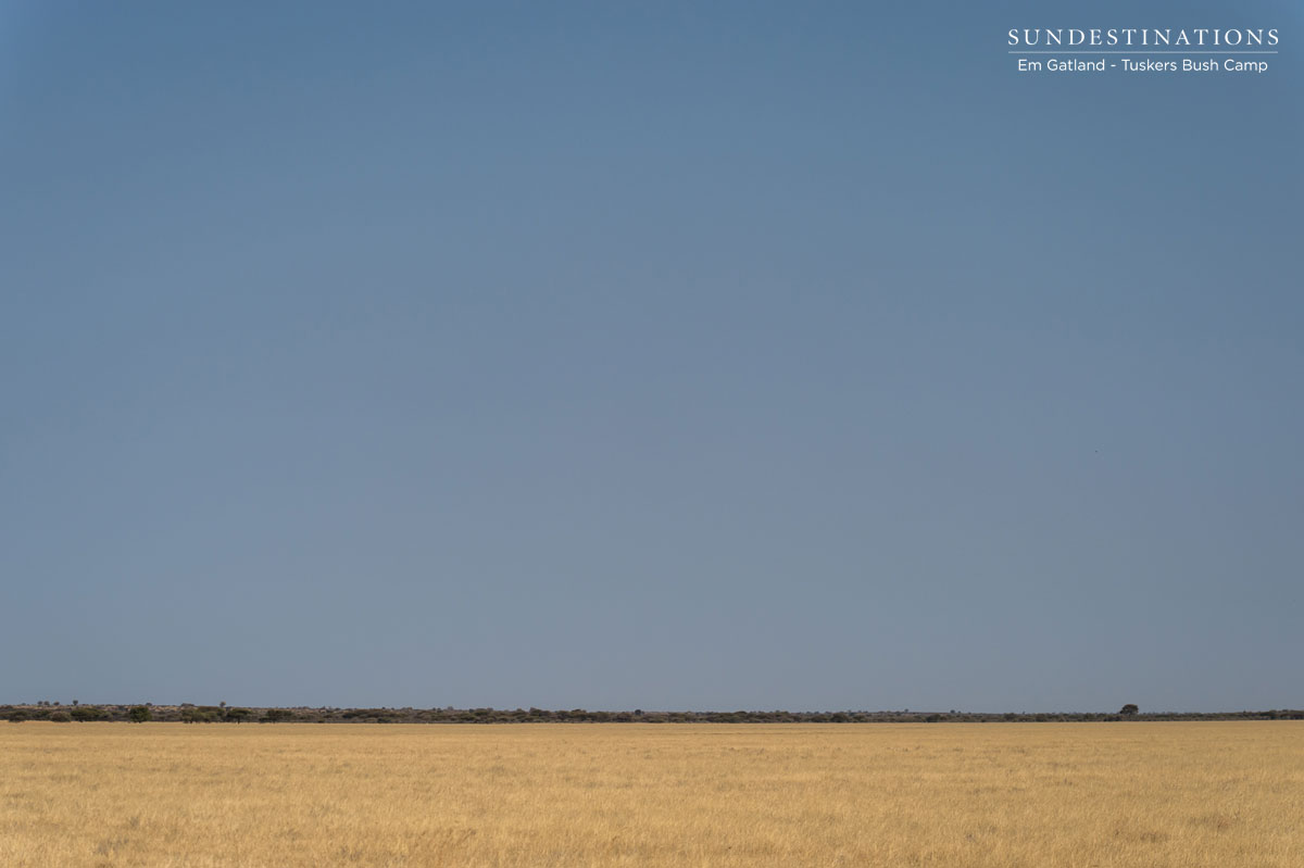 Botswana Sky Botswana Sky