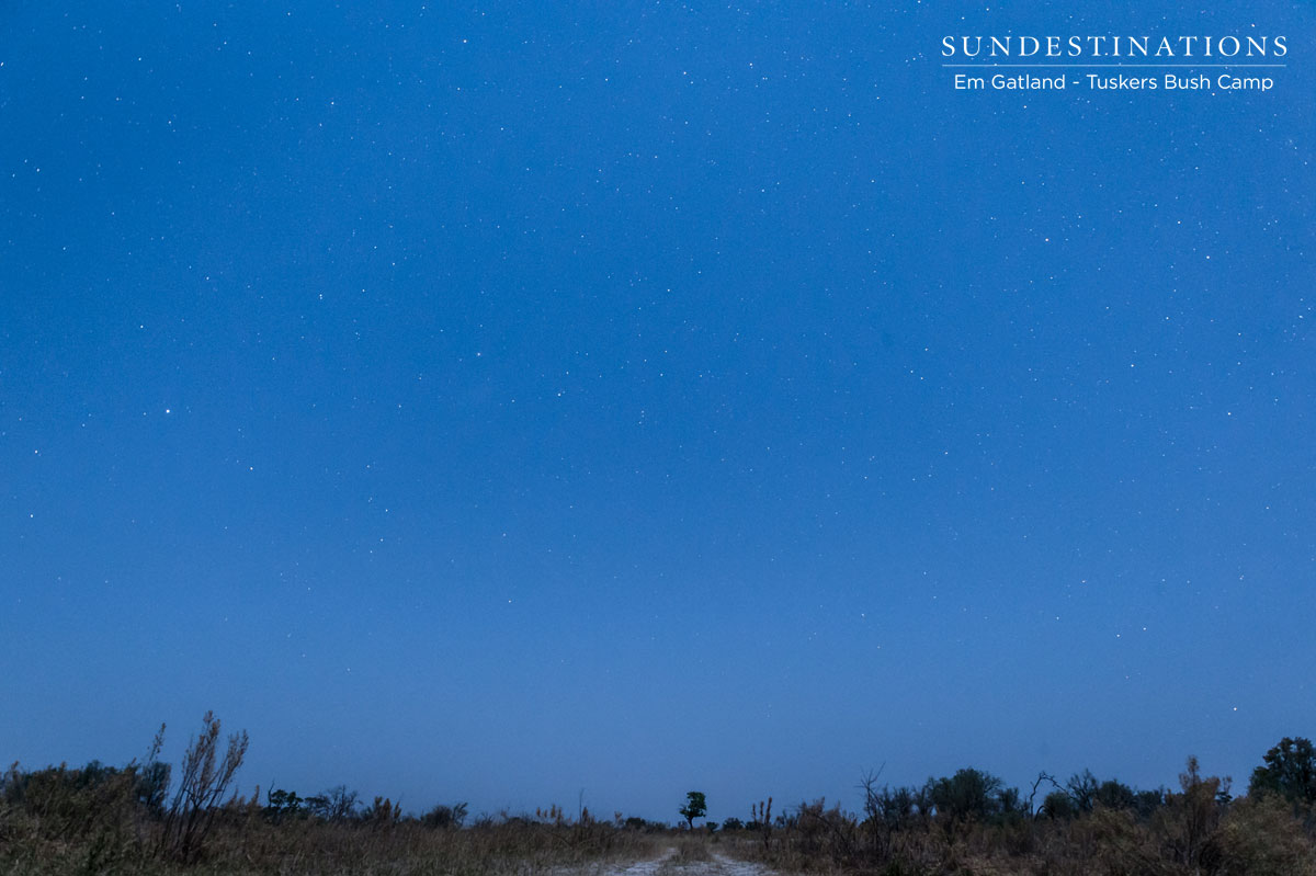 Night Sky Tuskers Night Sky Tuskers