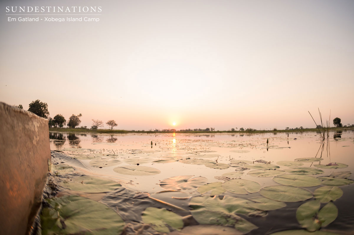 Cruising the Waterways Cruising the Waterways