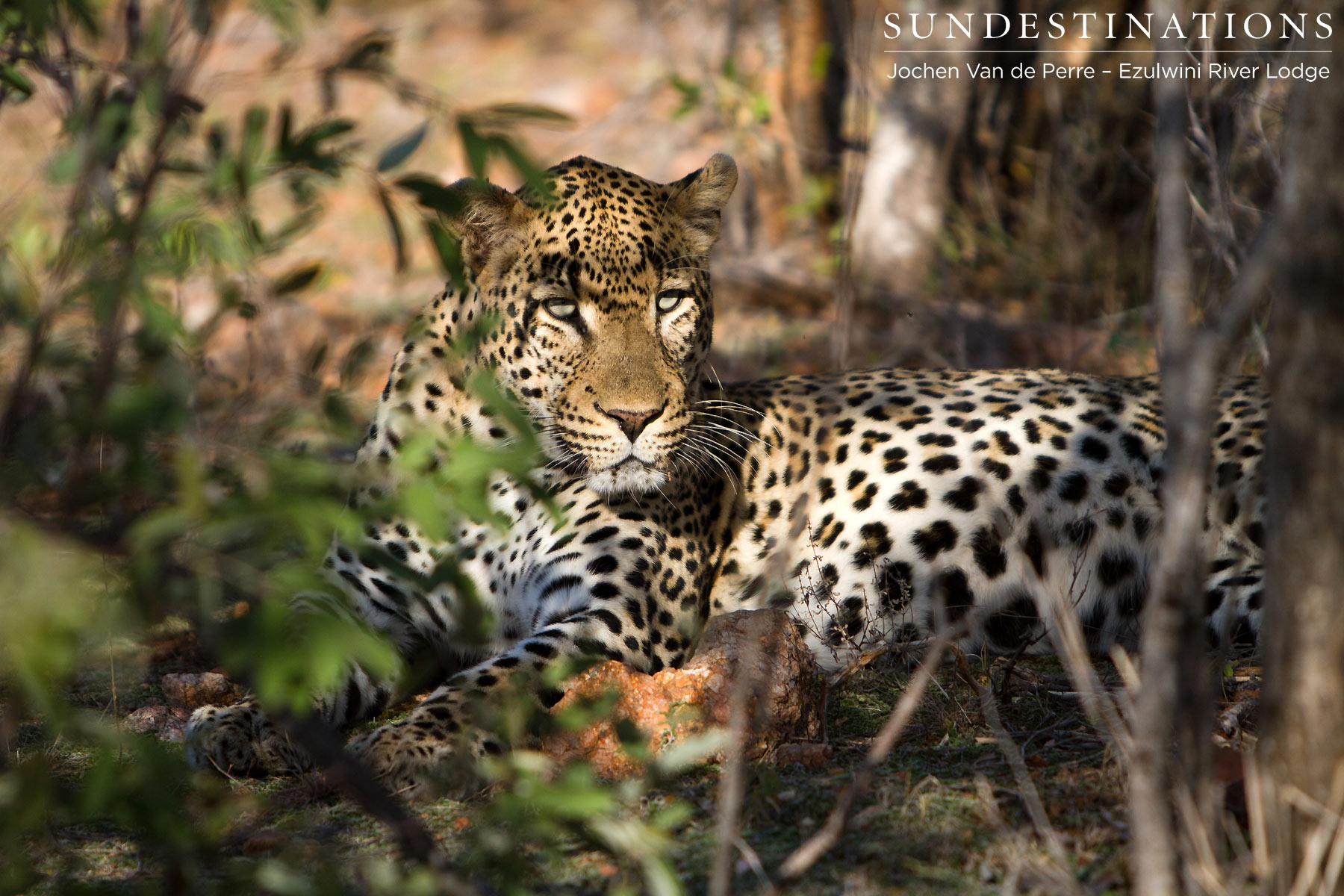 Chavaluthu Chavaluthu
