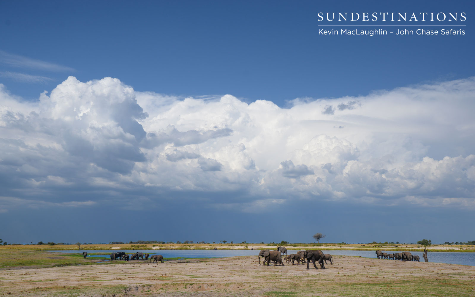 Elephant Herds Botswana Elephant Herds Botswana