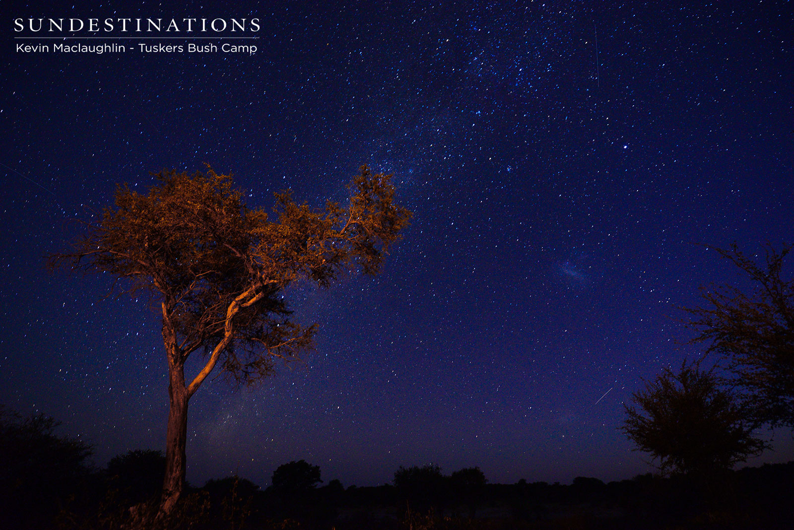 Botswana Starry Sky Botswana Starry Sky