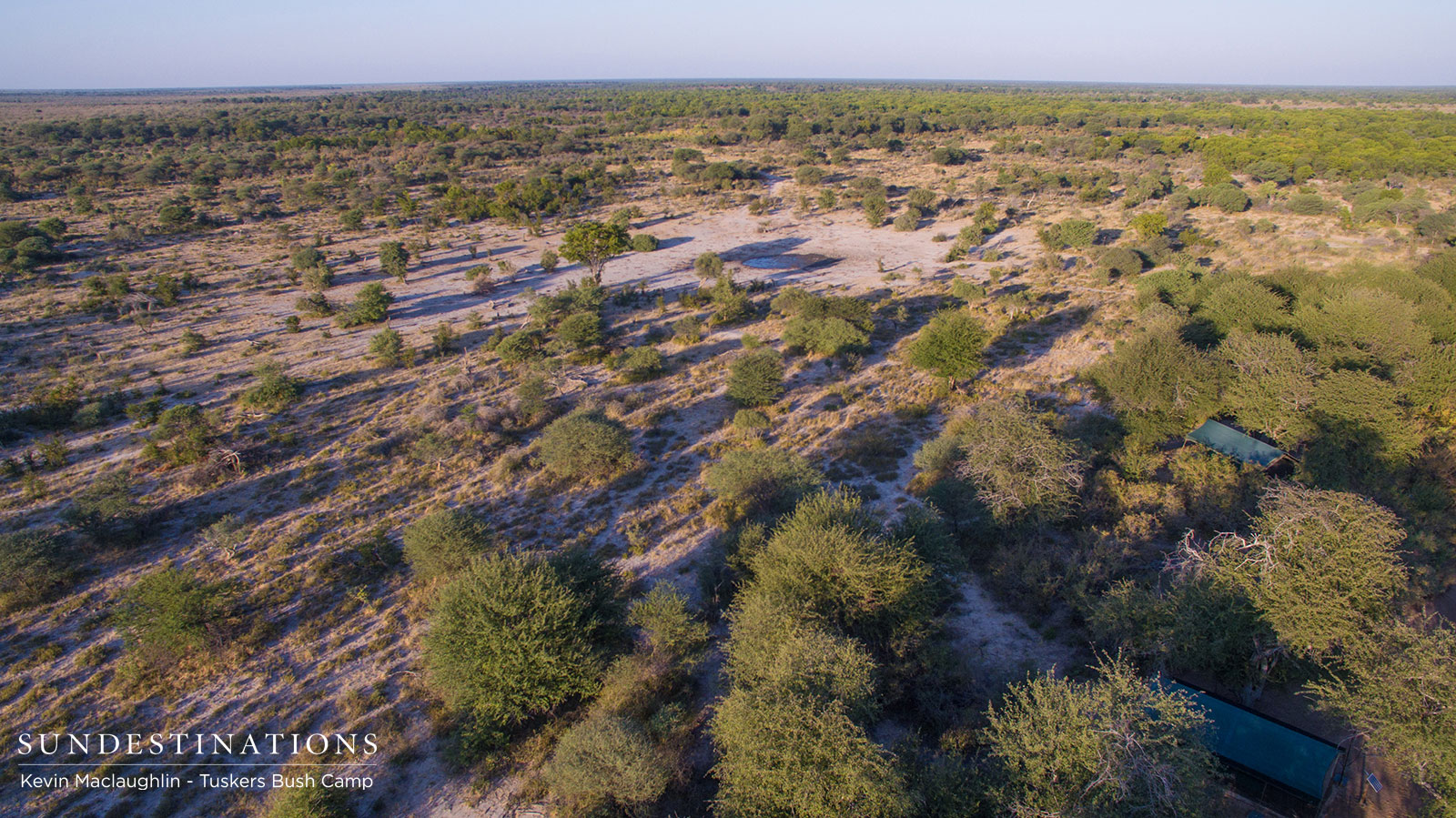 Traverse Tuskers Traverse Tuskers