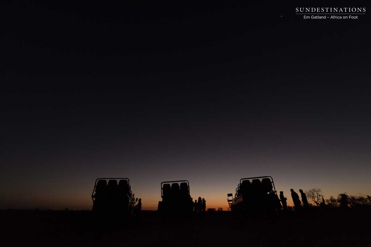 Africa on Foot Game Drive Africa on Foot Game Drive