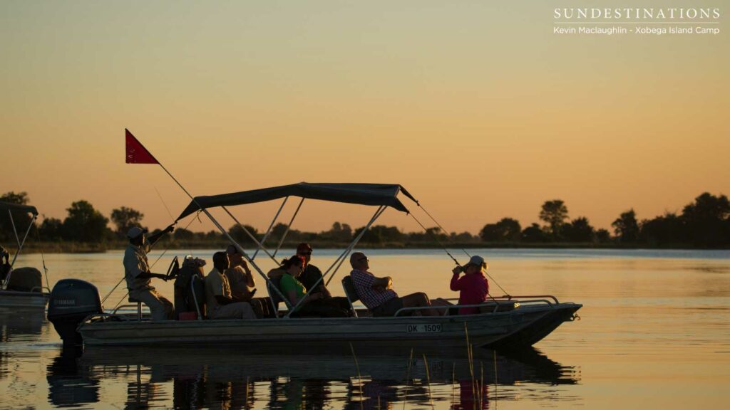 Bobbing gently on the surface of the Delta waters at sunset Bobbing gently on the surface of the Delta waters at sunset
