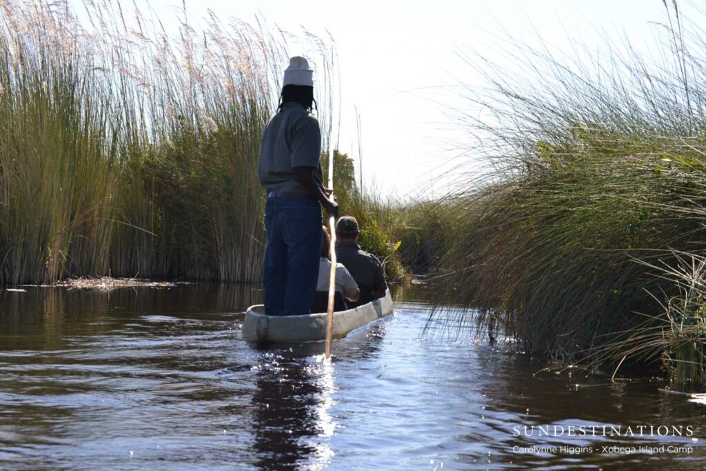 Mekoro Trip in the Okavango Delta Mekoro Trip in the Okavango Delta