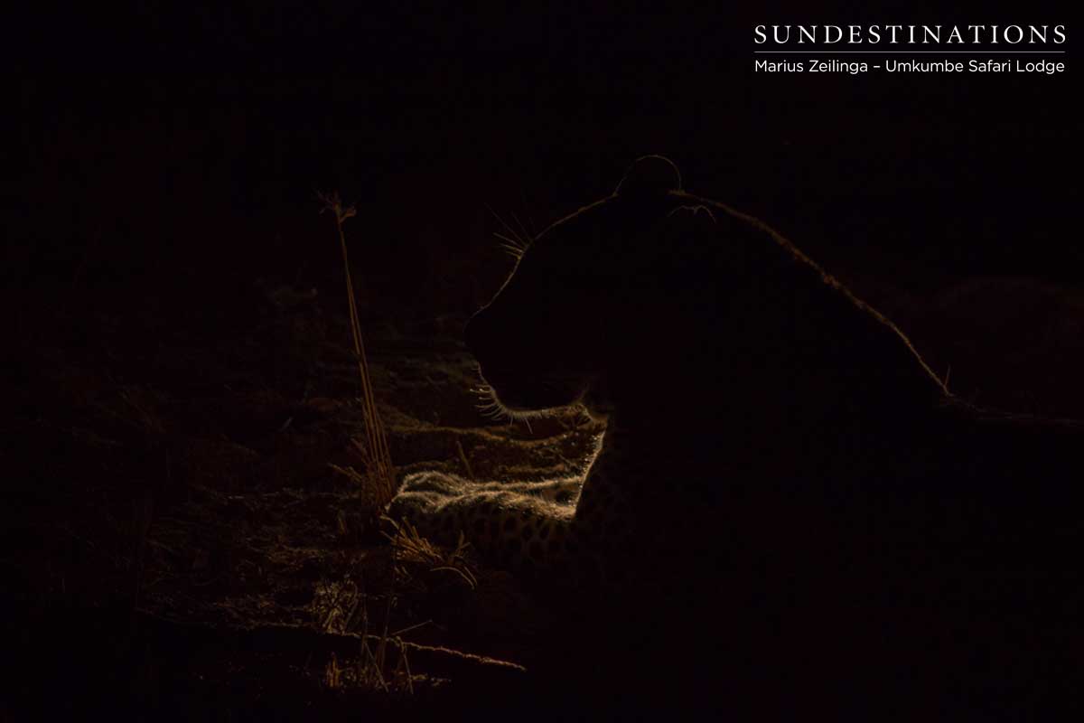 Mxabene in the Night Mxabene in the Night