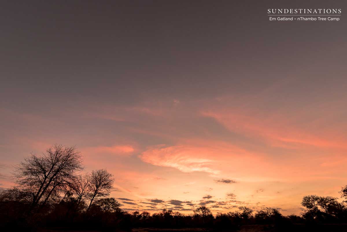 Sunset nThambo Tree Camp Sunset nThambo Tree Camp