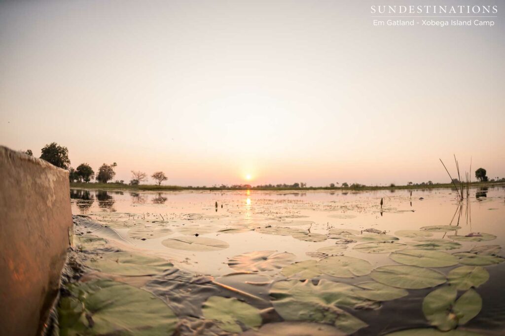 Touring the Okavango Delta lagoons on a mokoro, bringing you unnervingly close to the waters ruled by hippo. With expert guidance and professional polling, this experience becomes one of those most magical you'll ever have in this unique wetland paradise Touring the Okavango Delta lagoons on a mokoro, bringing you unnervingly close to the waters ruled by hippo. With expert guidance and professional polling, this experience becomes one of those most magical you'll ever have in this unique wetland paradise