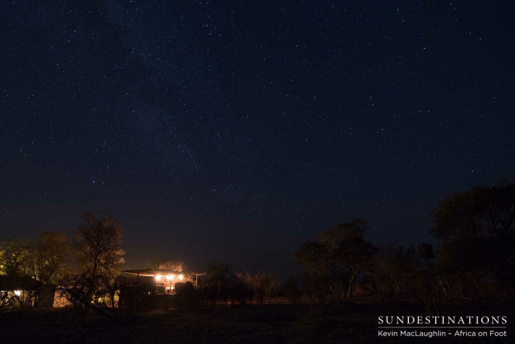 Guests enjoying a honeymoon dinner with elephant visitors Guests enjoying a honeymoon dinner with elephant visitors