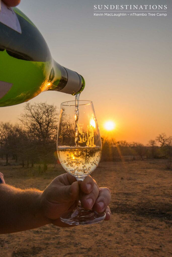 Wine tasting on safari with Africa on Foot and nThambo Tree Camp Wine tasting on safari with Africa on Foot and nThambo Tree Camp