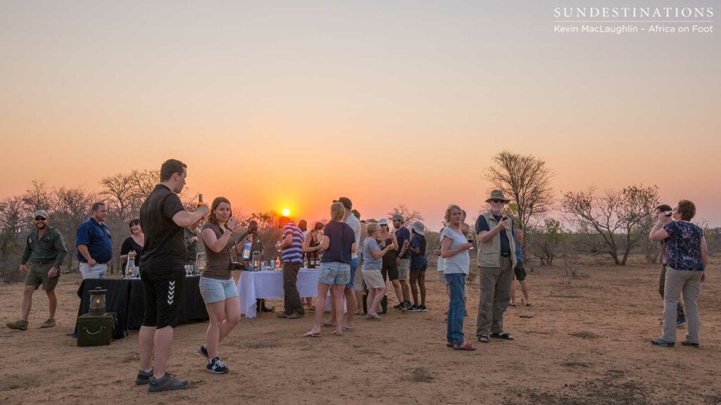 Wine tasting on safari with Africa on Foot and nThambo Tree Camp Wine tasting on safari with Africa on Foot and nThambo Tree Camp