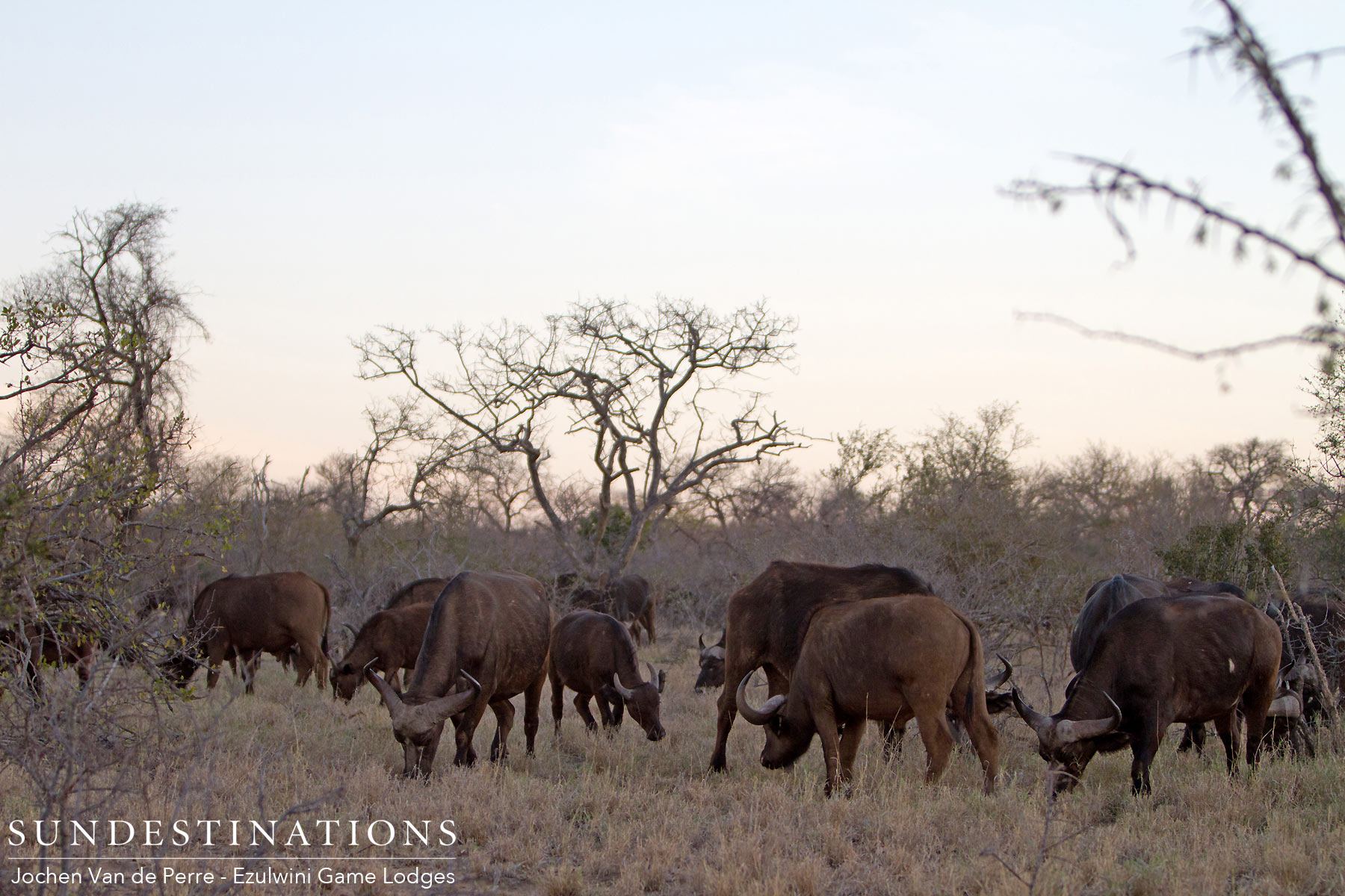 Spot the Pathfinder Spot the Pathfinder