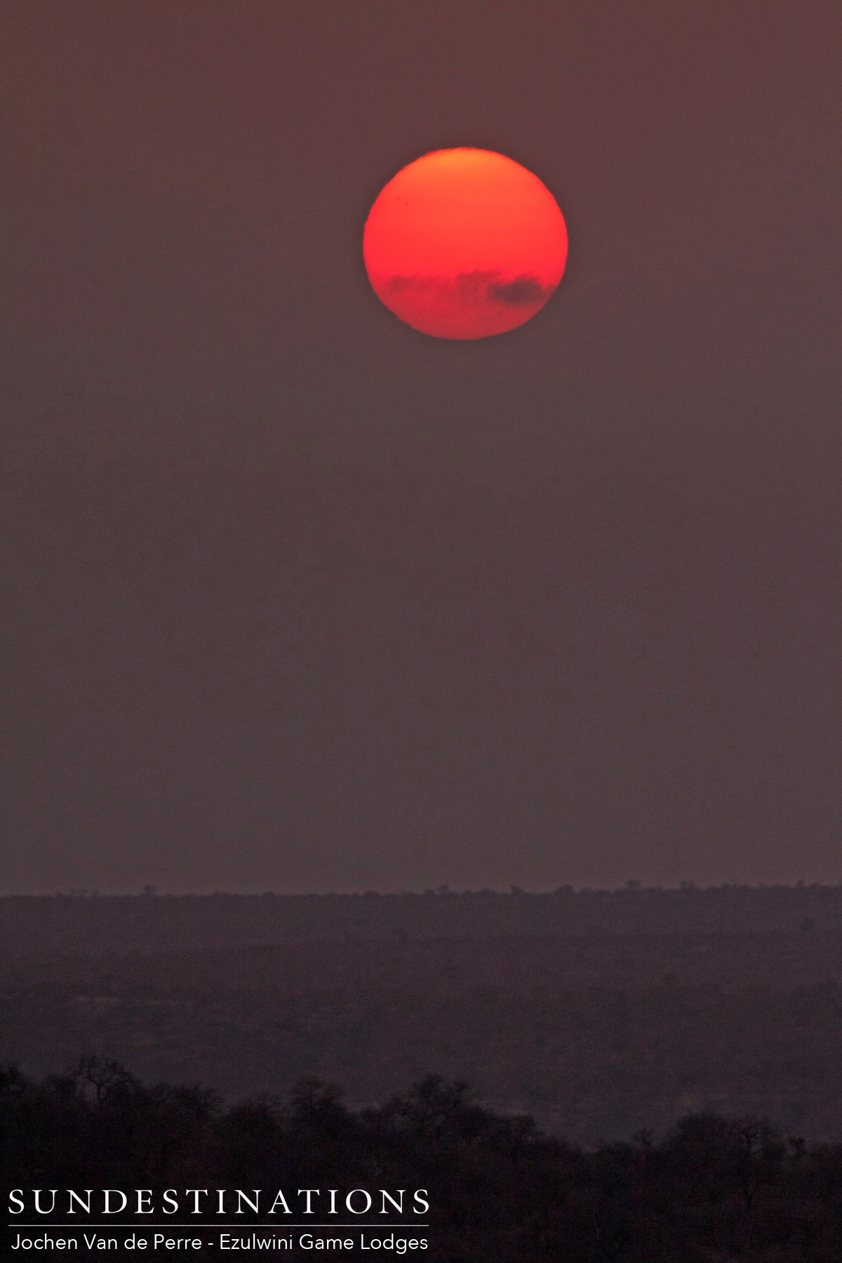 Sunset in Balule NAture Reserve Sunset in Balule NAture Reserve