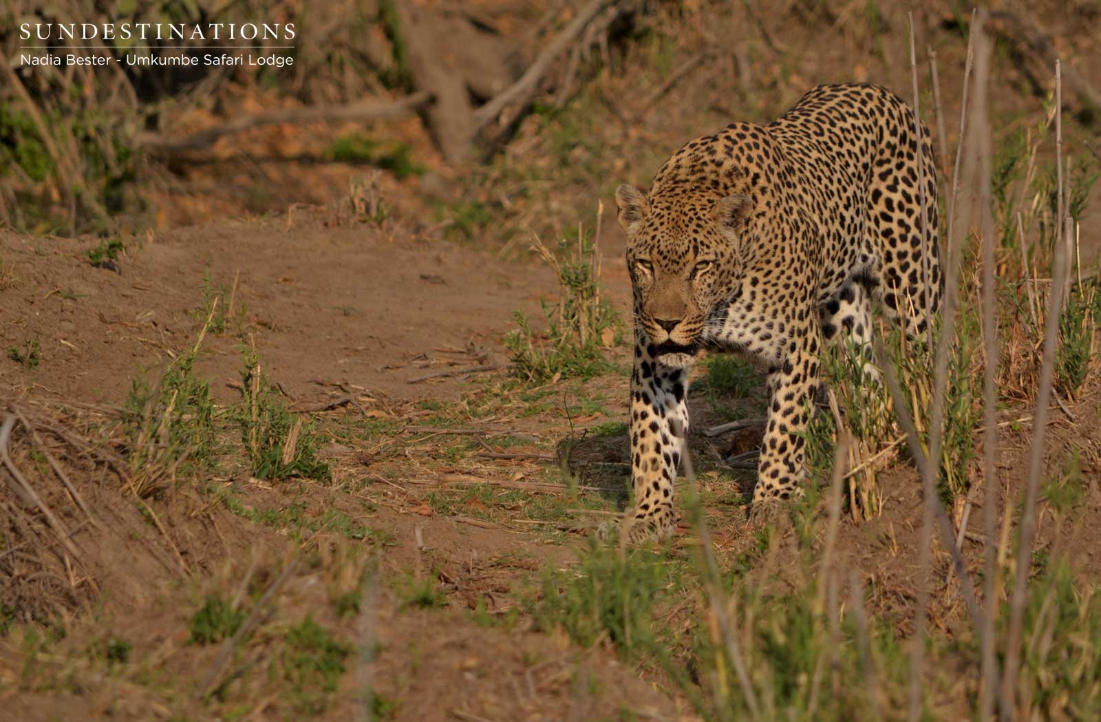 Bicycle Crossing - Umkumbe Bicycle Crossing - Umkumbe